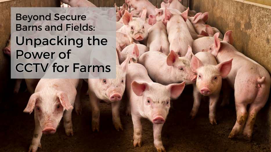 Beyond Secure Barns And Fields: Unpacking The Power Of Cctv For Farms